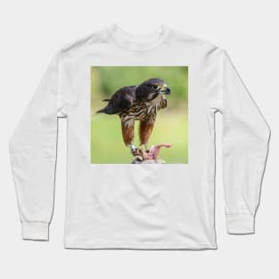 Falcon Long Sleeve T-Shirt